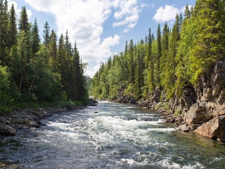 Речная рыбалка на лосось — фото 3 из 14